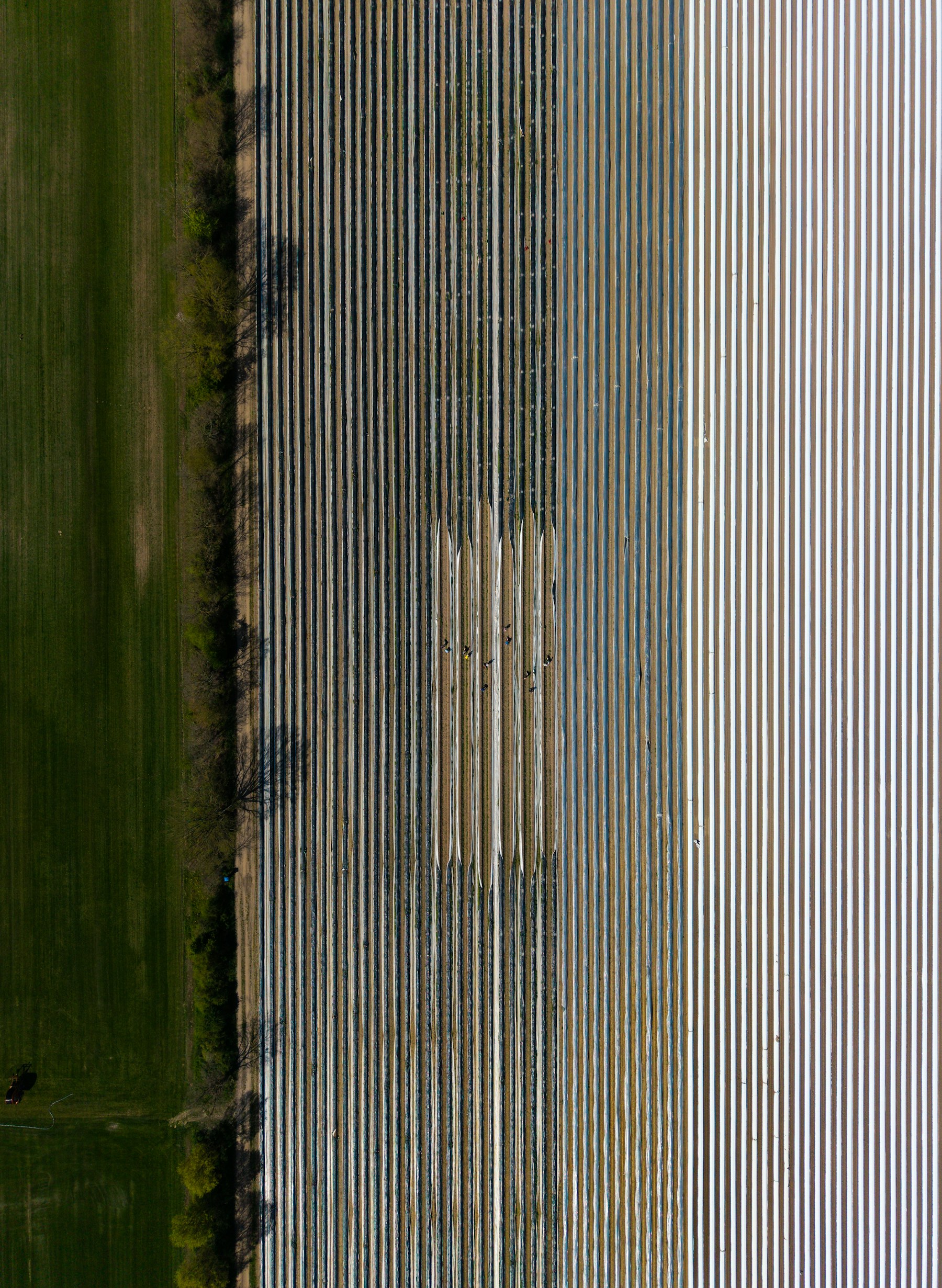 Territorio y agricultura