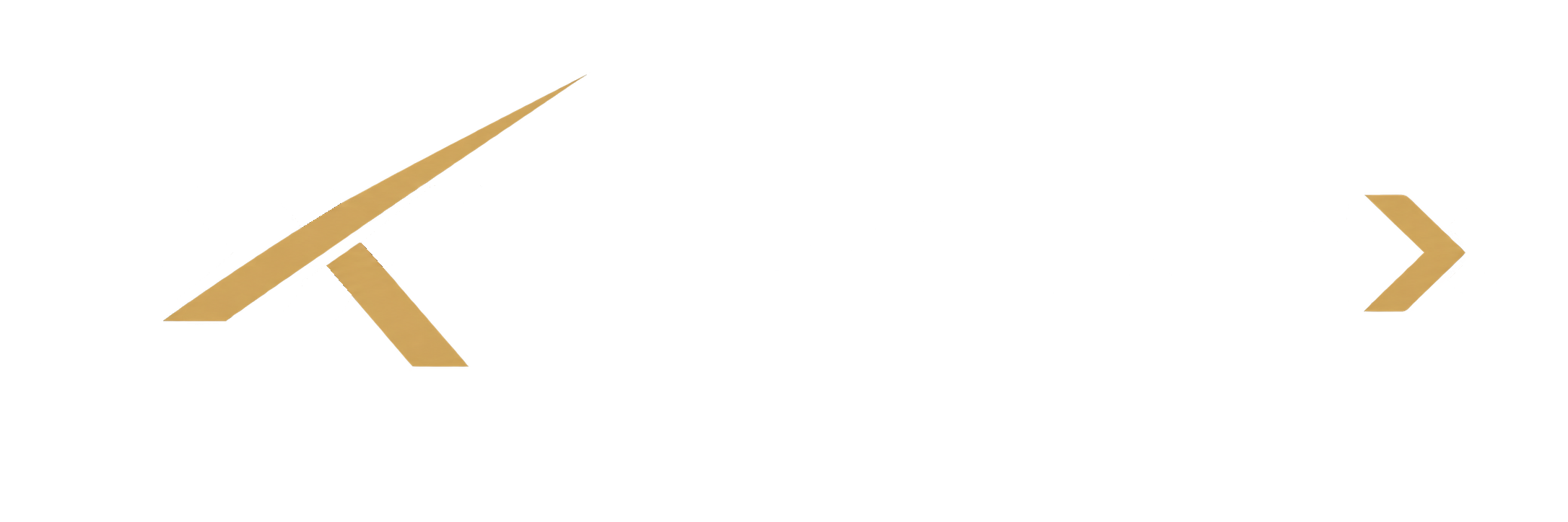 DRONEX